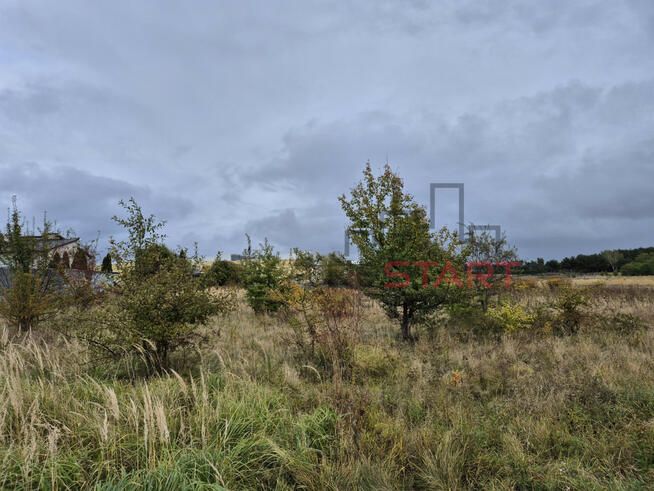 Działka budowlana Stara Wieś gm. Nadarzyn,