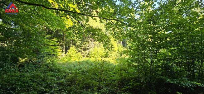 Działka rekreacyjna Zawadka gm. Tokarnia