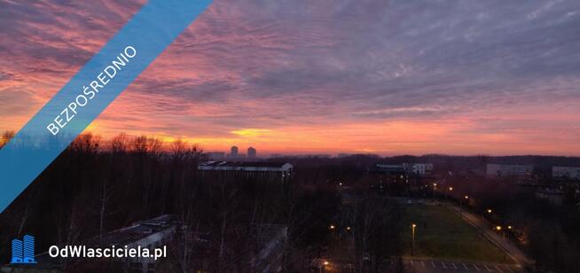 Mieszaknie z widokiem na Park Śląski