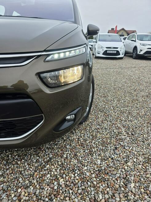 Citroen C4 Picasso 1.6 115ps HDI LED Navi Alusy 16 Kamera Cofania Exclusive 2014