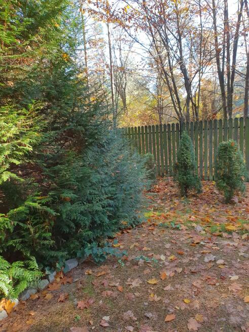 Dom Siedlątków gm. Pęczniew