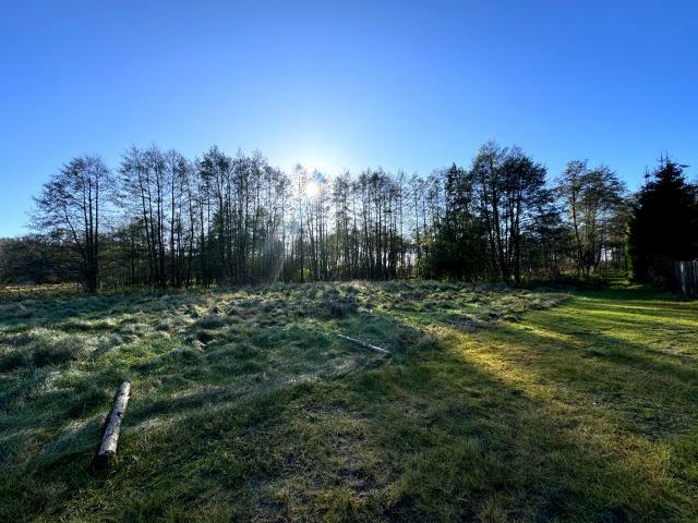 Działka rolno-budowlana Nowe Warpno, Różana