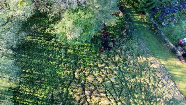 Działka rolno-budowlana Nowe Warpno, Różana