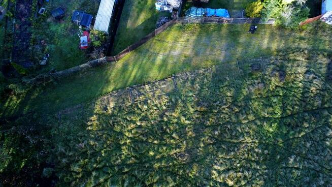 Działka rolno-budowlana Nowe Warpno, Różana