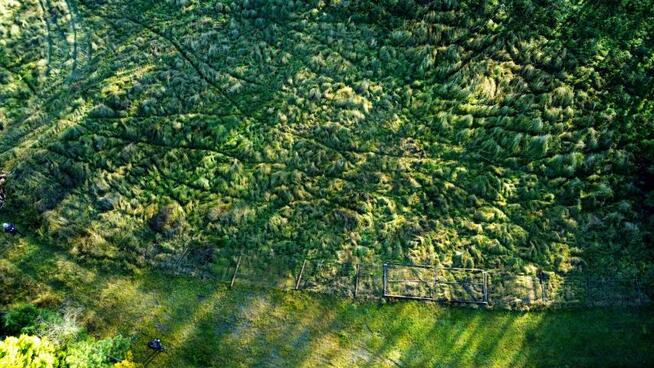 Działka rolno-budowlana Nowe Warpno, Różana