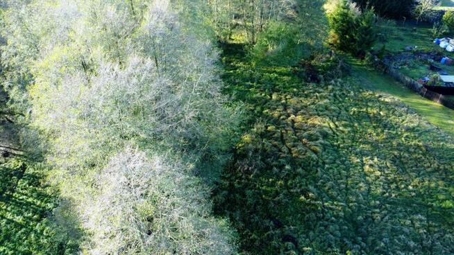 Działka rolno-budowlana Nowe Warpno, Różana