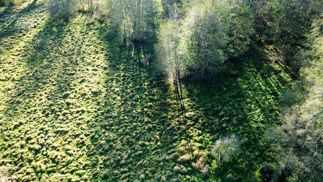 Działka rolno-budowlana Nowe Warpno, Różana