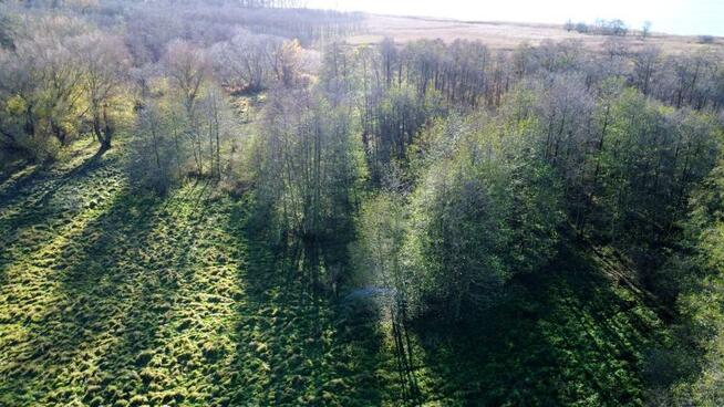 Działka rolno-budowlana Nowe Warpno, Różana