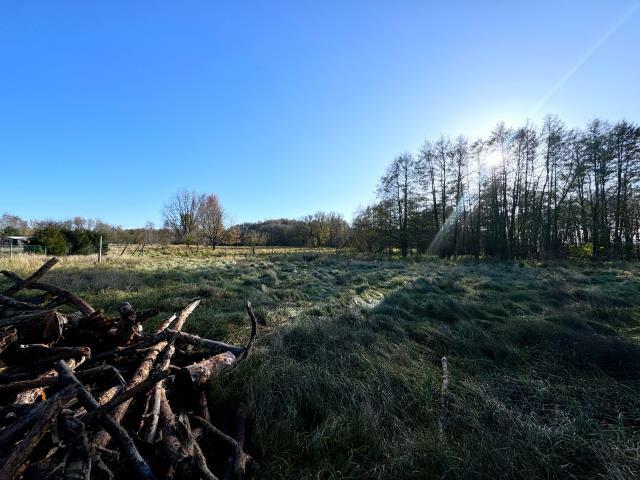 Działka rolno-budowlana Nowe Warpno, Różana