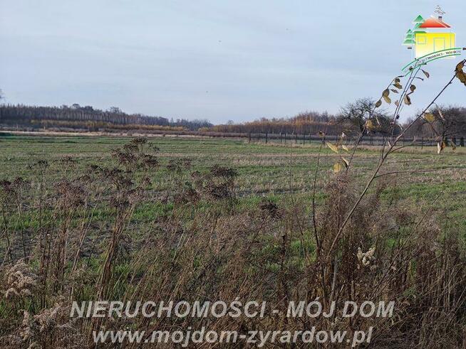 Działka budowlana Korytów gm. Radziejowice