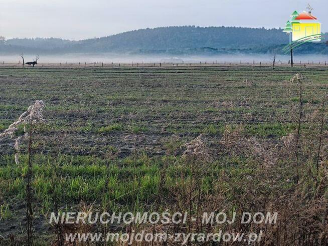 Działka budowlana Korytów gm. Radziejowice