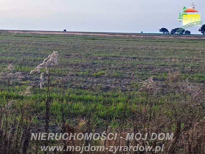 Działka budowlana Korytów gm. Radziejowice