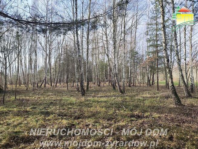 Działka rolno-budowlana Antoniew gm. Wiskitki