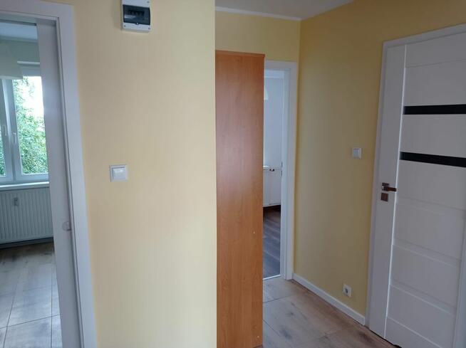 Mieszkanie Wzgórze Wolności 3 pokoje