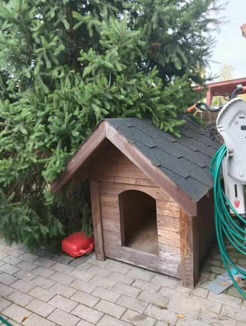 Drewniana buda dla psa ręcznie robiona ocieplona z otwierany