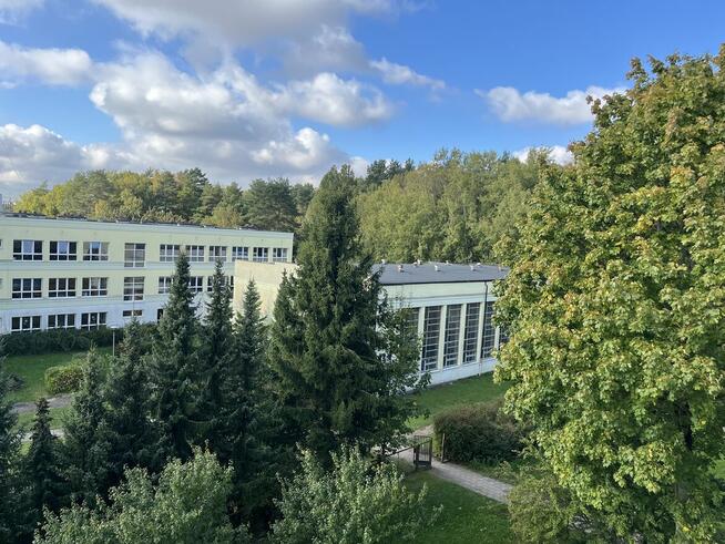 Mieszkanie 2 pokojowe na wynajem Olsztyn