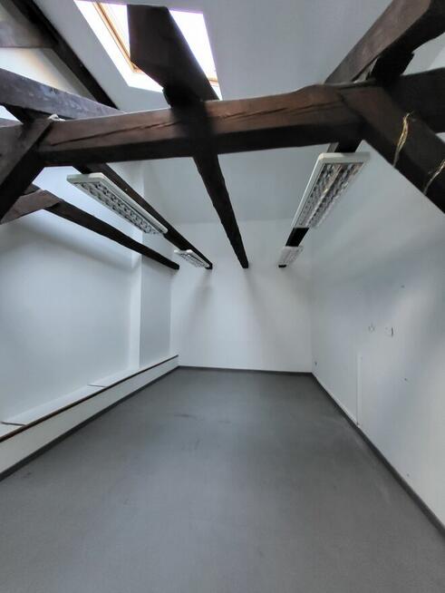 Lokale użytkowe/biurowe o łącznej powierzchni ponad 700 m2