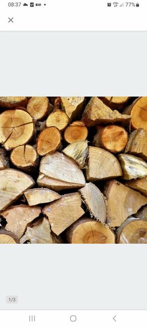 Drewno Kominkowe I Gałęziówka Buk Dąb Grab Brzoza Sosna