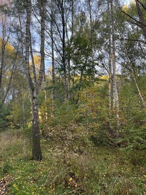 Mieszkanie 2 pokojowe na wynajem Olsztyn