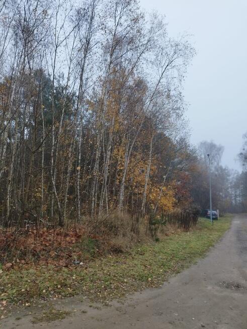 Działki budowlane w Kaliszu Pomorskim