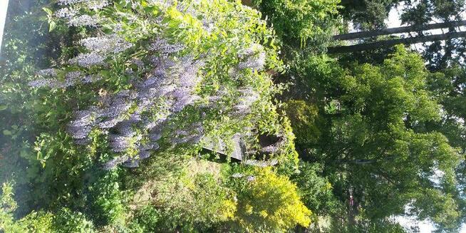 Dom szeregowy PRESTIŻOWA DZIELNICA