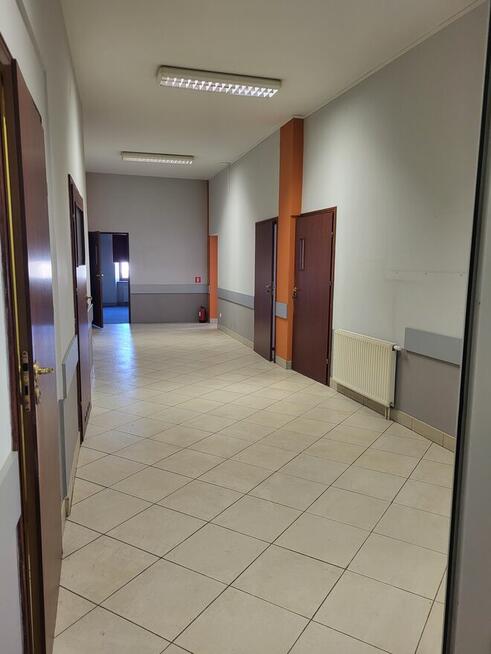 Lokale użytkowe/biurowe o łącznej powierzchni ponad 700 m2