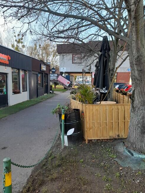 Wynajmę Lokal z ogródkiem