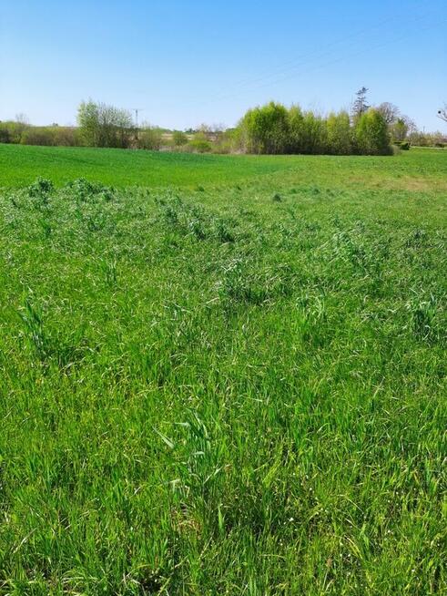 SPRZEDAM DZIAŁKI BUDOWLANE.