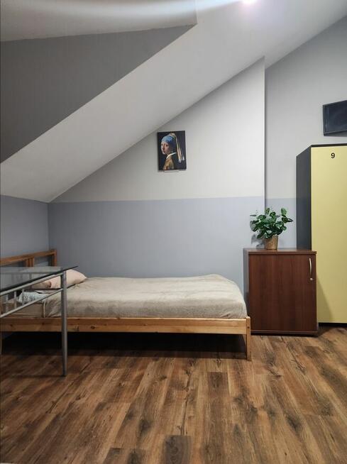 Zalesie Górne Noclegi