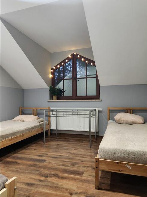 Zalesie Górne Noclegi