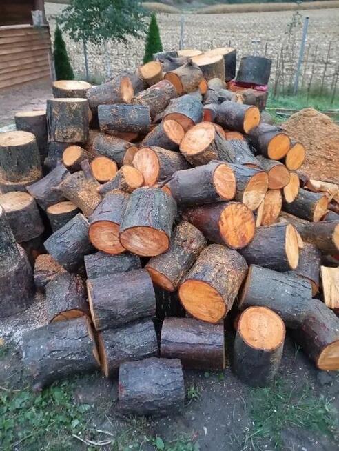 Drewno do wędzenia kominkowe opałowe Olcha Olszyna 1kg 4L w