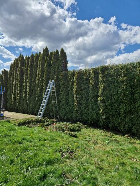 Wywóz śmieci i gabarytów