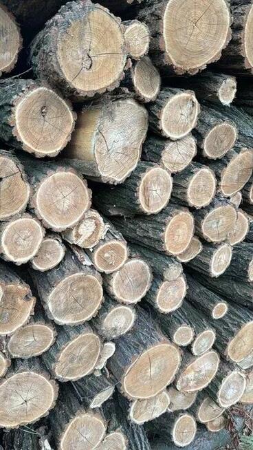 Drewno do wędzenia kominkowe opałowe Dąb dębowe 1kg 4L wysy