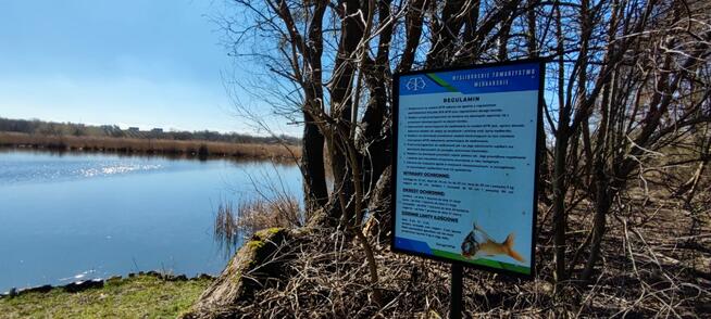 działka z linią brzegową