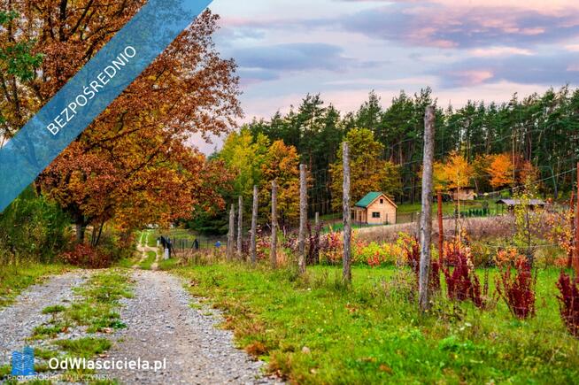 Prywatne Wzgórze Morenowe - Panorama i Cisza w Otulinie Rezerwatu