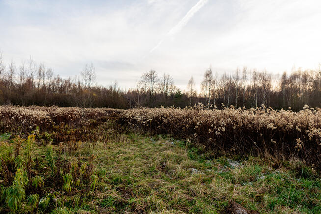Na sprzedaż działka rolno-budowlana w Łękach
