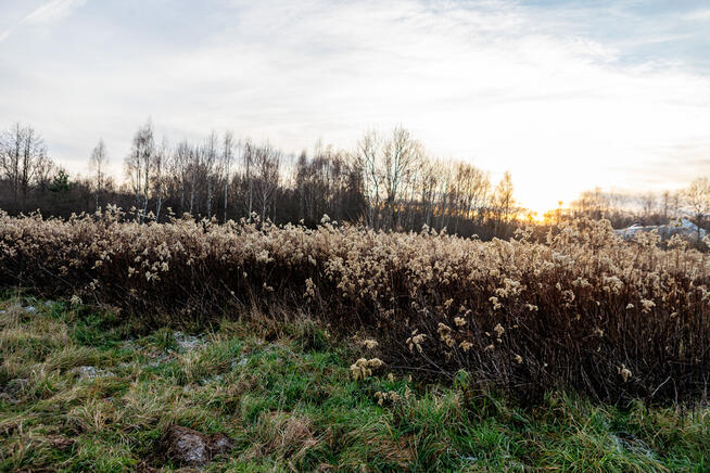 Na sprzedaż działka rolno-budowlana w Łękach