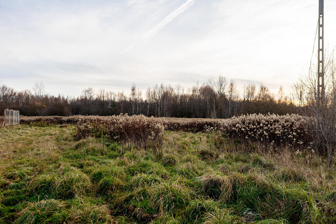 Na sprzedaż działka rolno-budowlana w Łękach