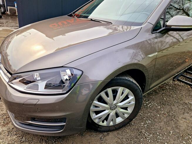 Volkswagen Golf Automat DSG. Navi. Grzane fotele