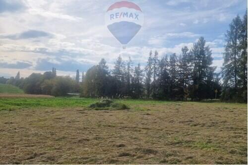 Działka przy głównej drodze.