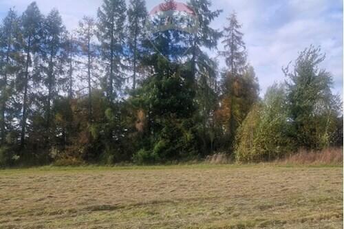 Działka przy głównej drodze.