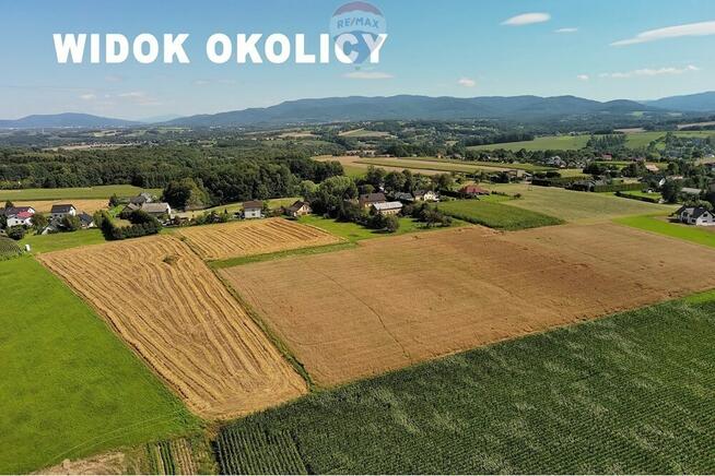 BLACK WEEKS - Tam, gdzie poranki smakują inaczej