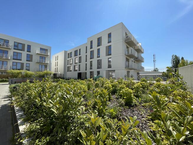 Mieszkanie Warszawa gm. Białołęka Białołęka, Brzeziny, Wielkiego Dębu