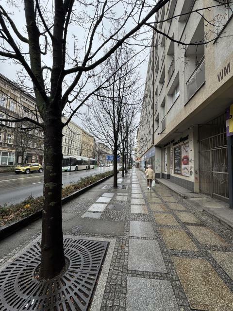 Lokal użytkowy Szczecin Centrum, Krzywoustego