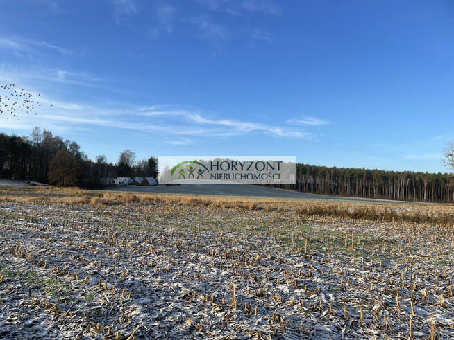 Bojano - trzy działki do wyboru