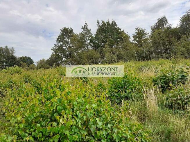 Mściszewice - działka budowlana