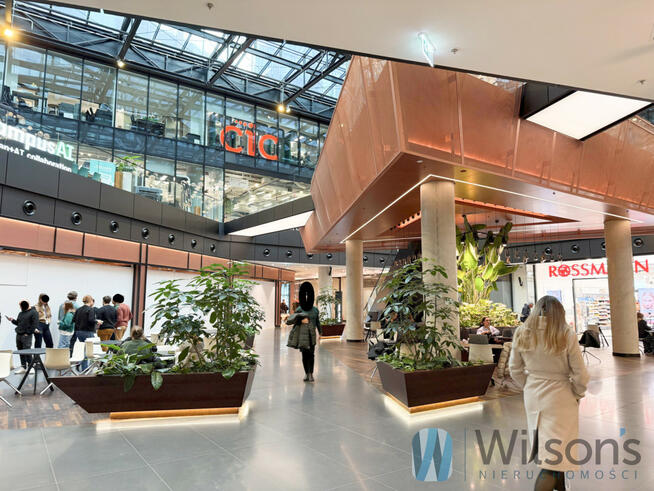 Lokal użytkowy Warszawa gm. Śródmieście Śródmieście, Chmielna