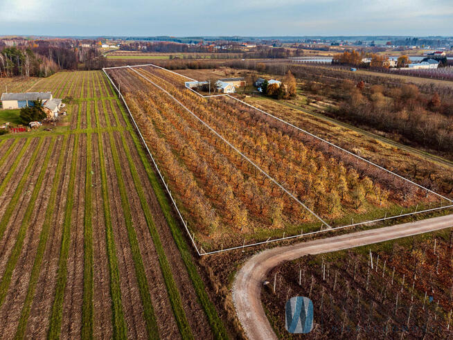 Działka budowlana Michrów gm. Pniewy,