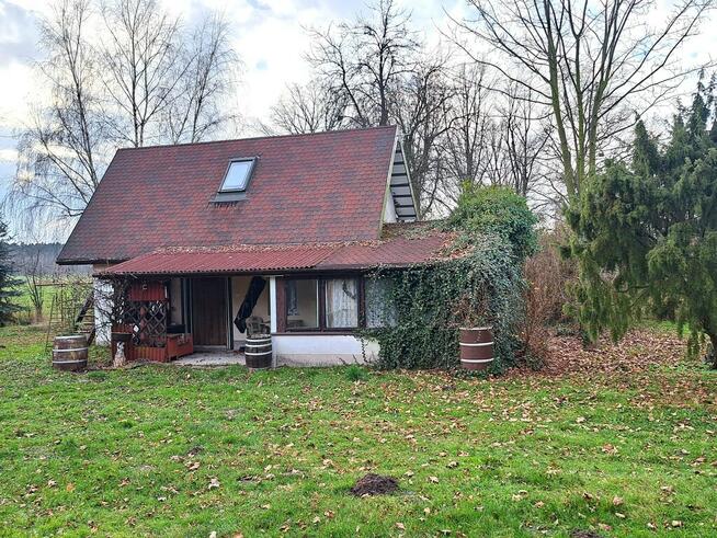 Sprzedam Siedlisko wśród zieleni lasów.