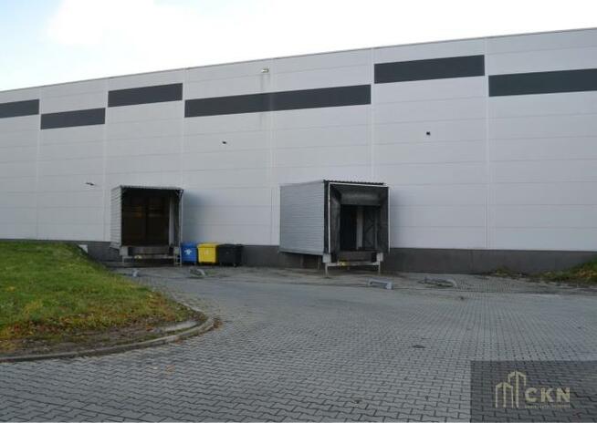 Lokal użytkowy Kraków Podgórze, Rybitwy, Rybitwy